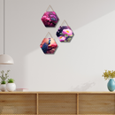 Floral & Nature Hexagon Wooden Wall Hanging Set