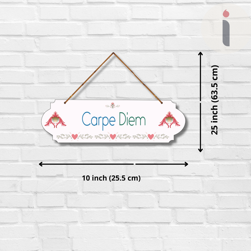 "Carpe Diem Wood  Colorful Wall or Door Hanging"