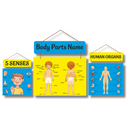 Body Parts Name wall hanging - ICraft asia