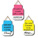 Sunshine Mixed with a Little Hurricane wooden wall hanging
