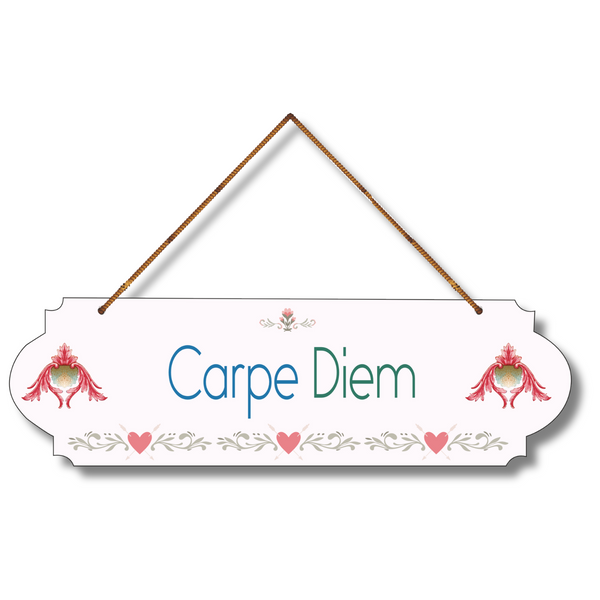 "Carpe Diem Wood  Colorful Wall or Door Hanging"