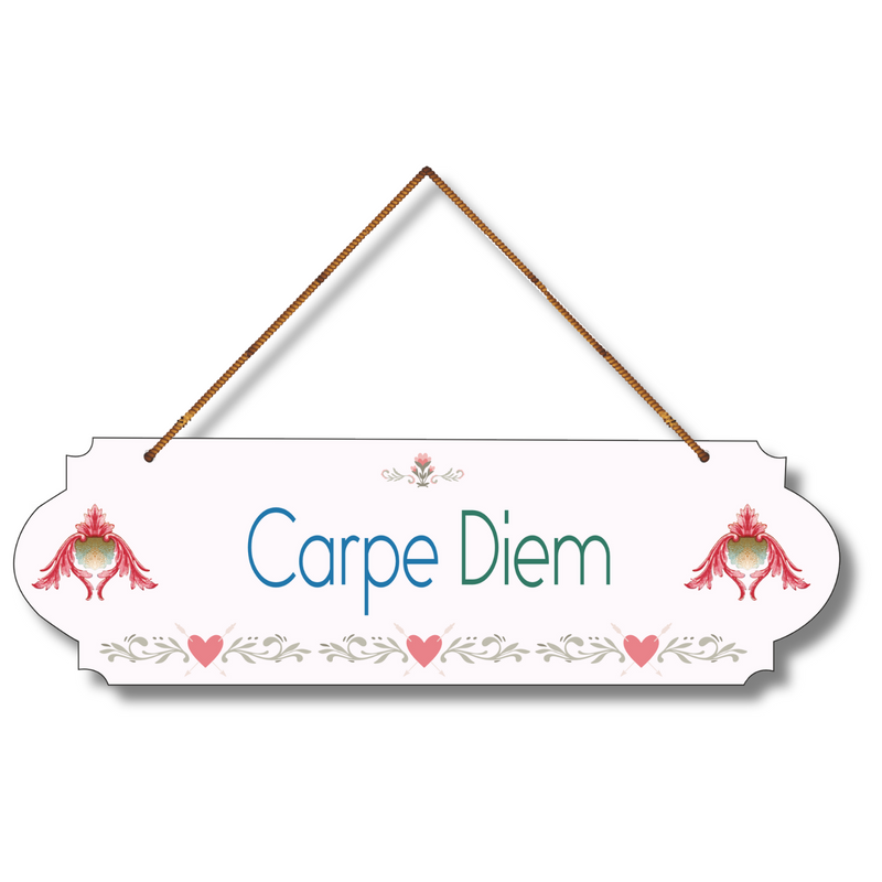 "Carpe Diem Wood  Colorful Wall or Door Hanging"