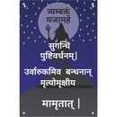 Trambakam Yajamahe Wall Frame - ICraft asia