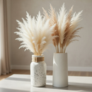 Minimal Pampas Vase Set
