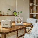 Modern Geometric Hydroponic Planter