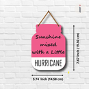 Sunshine Mixed with a Little Hurricane wooden wall hanging