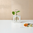 Modern Geometric Hydroponic Planter