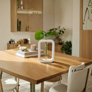 Modern Geometric Hydroponic Planter