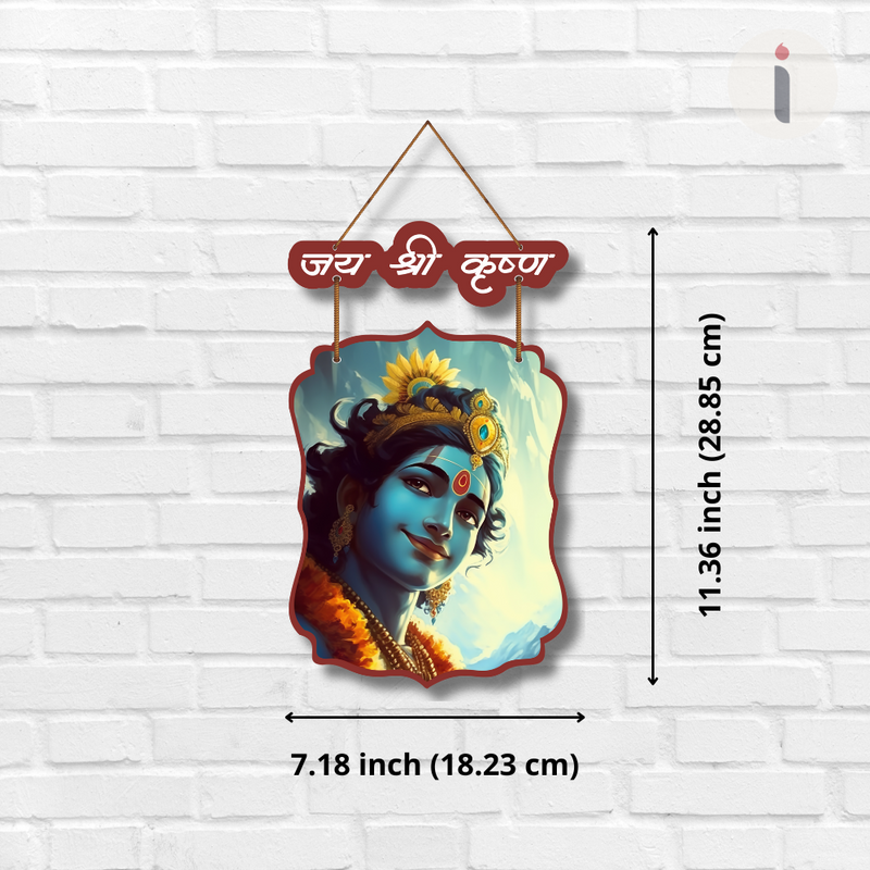 Divine Krishna Wall Hanging Set