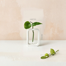 Modern Geometric Hydroponic Planter