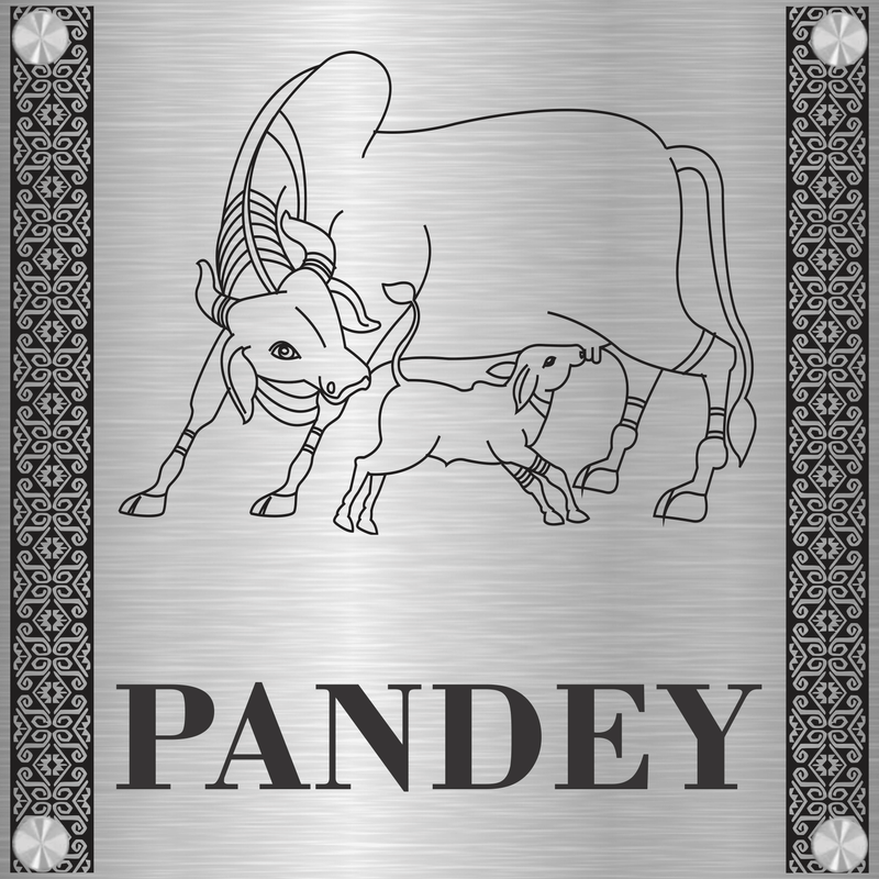 Hansika (Madhubani) - Stainless Steel Name Plate